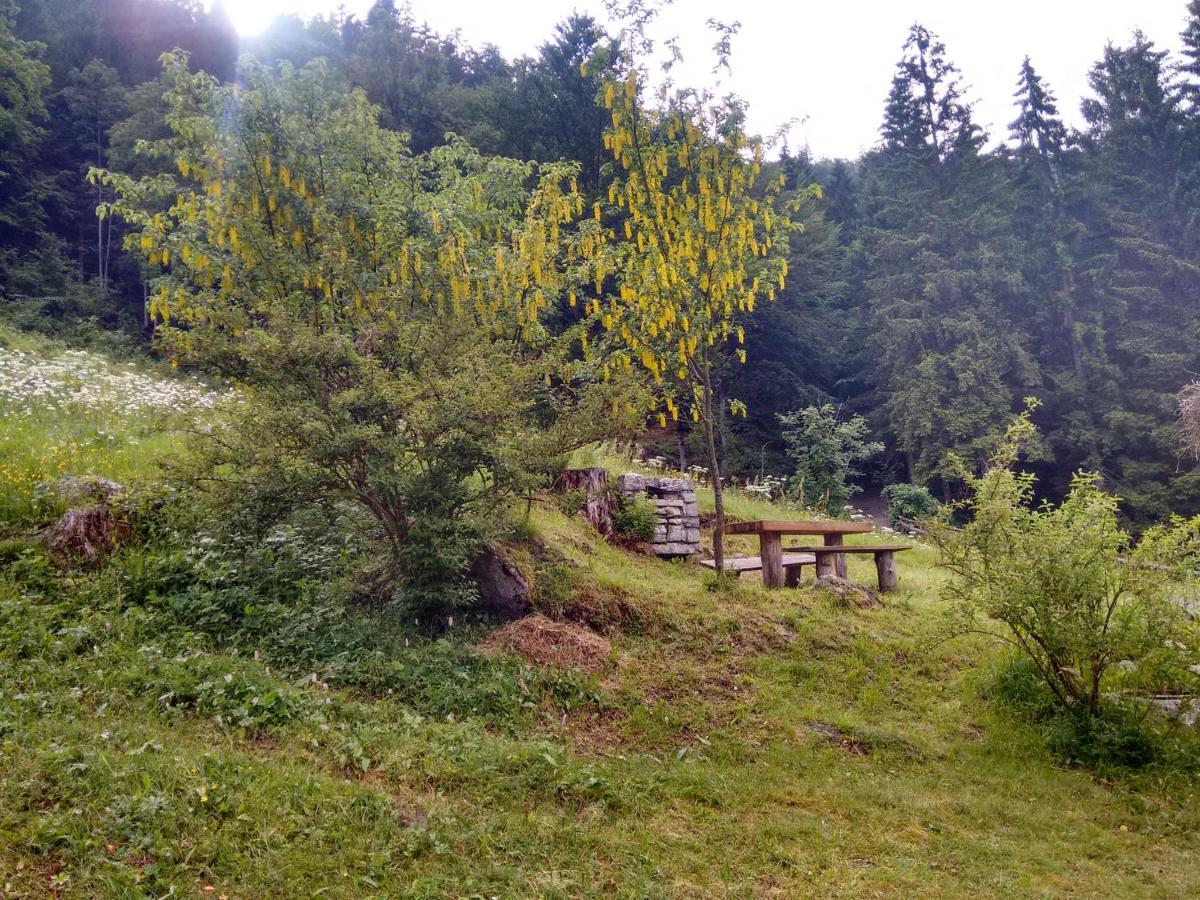 Вилла Agritur Manoncin Даоне Экстерьер фото