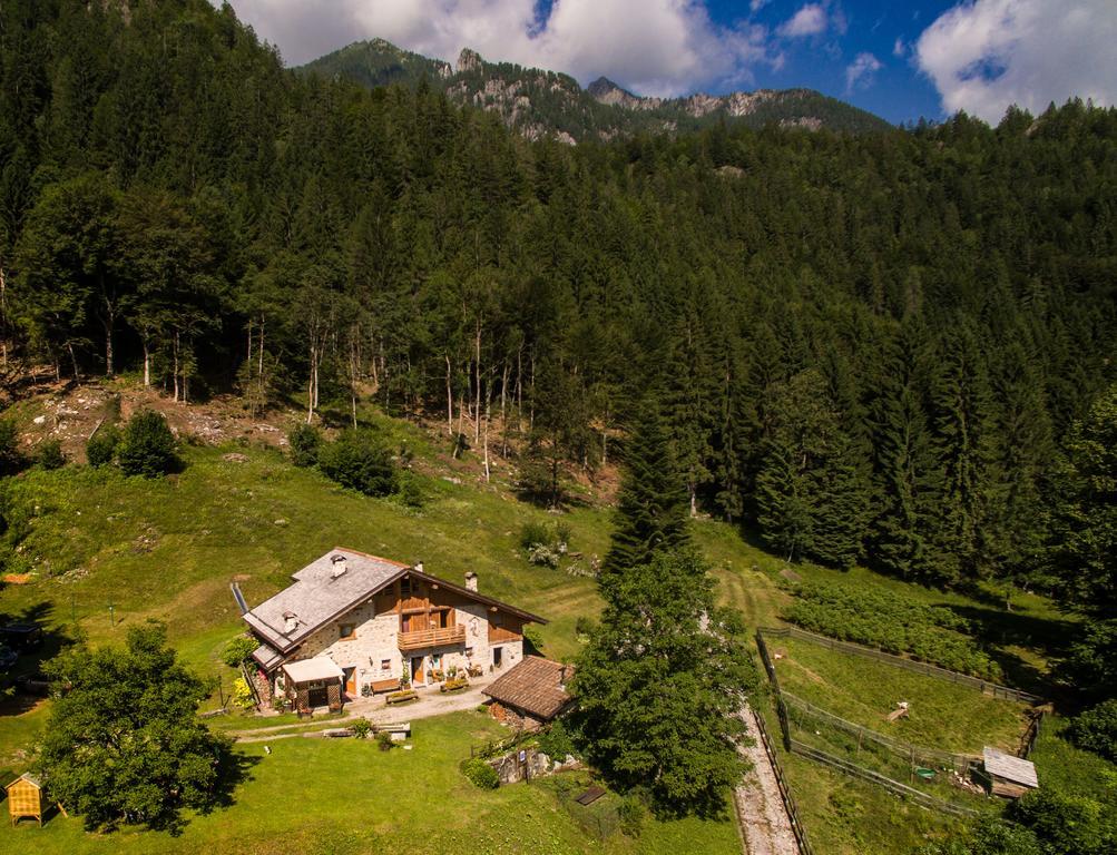 Вилла Agritur Manoncin Даоне Экстерьер фото