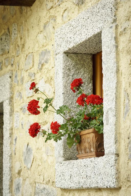 Вилла Agritur Manoncin Даоне Экстерьер фото