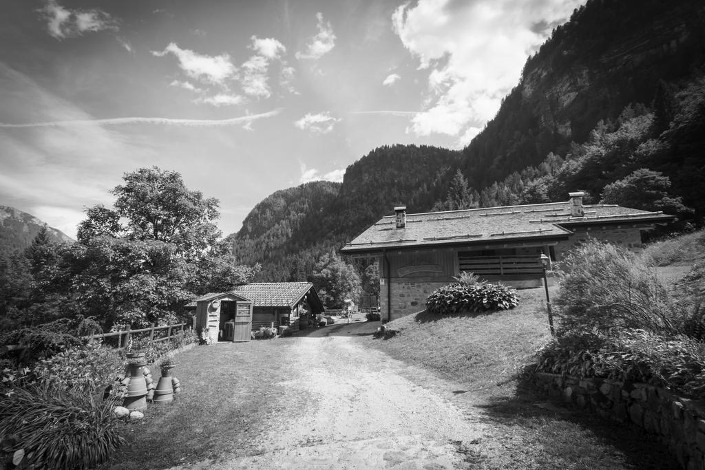 Вилла Agritur Manoncin Даоне Экстерьер фото